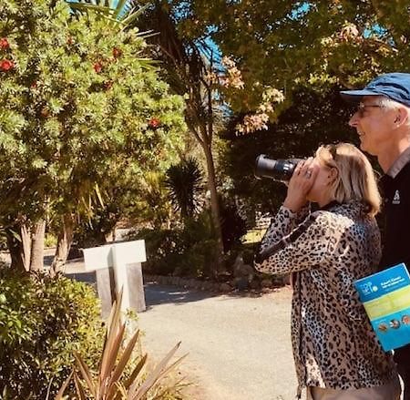 Kauri Coast Top 10 Holiday Park Kaihu エクステリア 写真